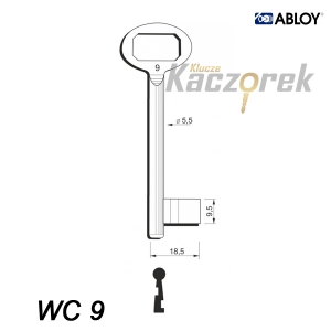 Numerowany Abloy WC 9 - klucz surowy